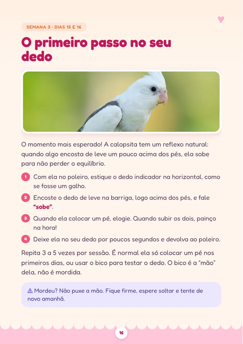 Página O primeiro passo no seu dedo