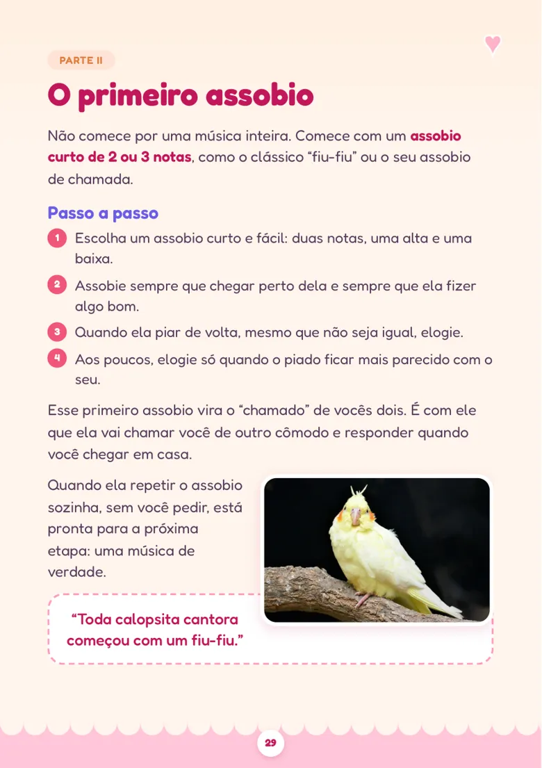 Página O primeiro assobio