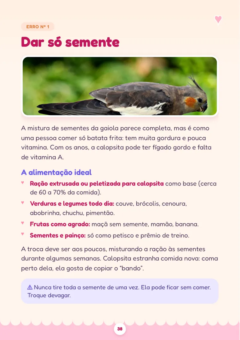Página Erro nº 1